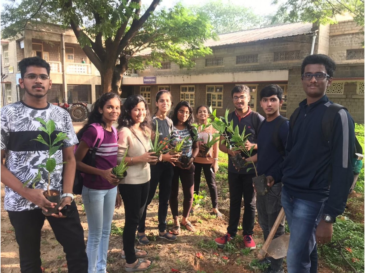 Tree Plantation Drive