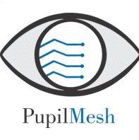 PupilMesh logo